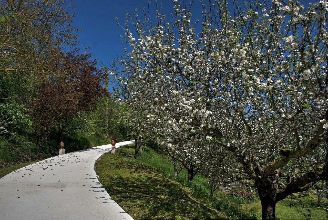 Verdmont Acqui Terme Exterior foto
